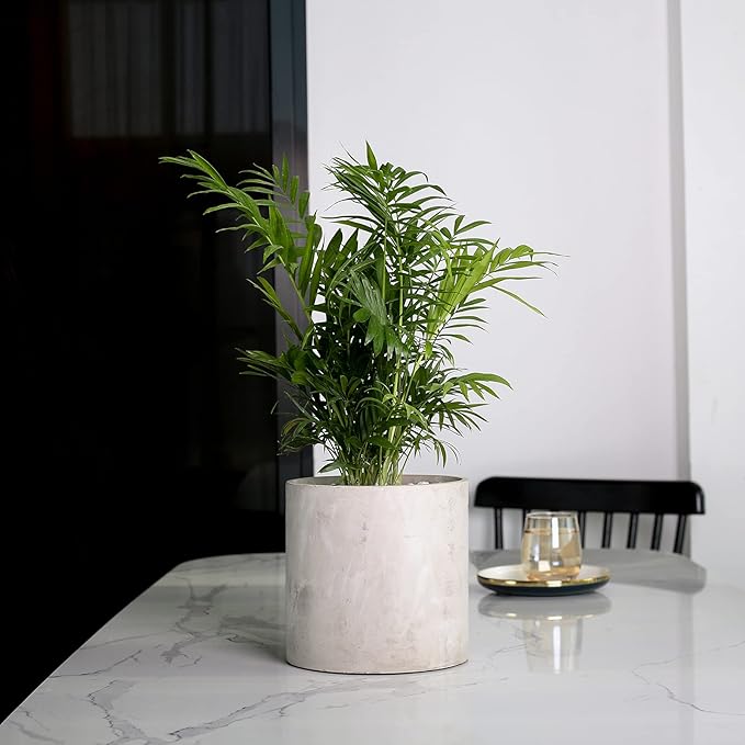 Plant Pots - 5.5 inch Cement Planters Indoor - Modern Grey Flower Pot with Drainage Hole - Home Office Decor