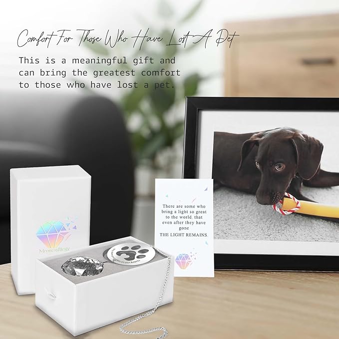 Dog Memorial Gifts, Unique Loss of Pet Sympathy Idea, Clear Crystal Ball Rainbow Suncatcher with Paw Print for Cat or Dog Remembrance and Bereavement