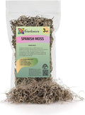 Premium Natural Spanish Moss | Natural Preserved - Great Ground Cover - Filler for Potted Plants - by GARDENERA - 3 Quart Bag