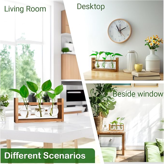 Plant Propagation Station,Plant Terrarium,Plant Starter,Gifts for Plant Lovers,Glass Bulb Terrarium with Retro Solid Wooden Stand for Hydroponics Plants Home Garden Wedding Décor (3 Bulbs)