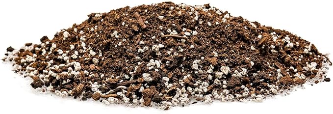 House Plant and Tropical Plant Potting Soil - Re-Potting Soil for All Types of Indoor House Plants - 1 Quart Bag