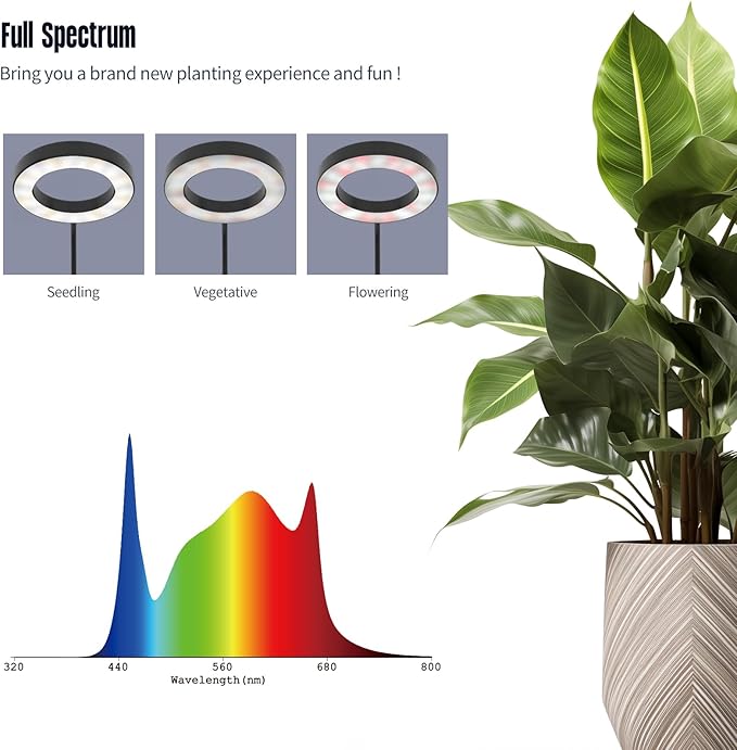GLOWRIUM Indoor Grow Light, 40 Watt Full Spectrum LED Plant Growth Light with Stand, Adjustable Height with Timer 3/9/12 hrs, Black LED Plant Lamp