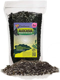 Alocasia Plant Potting Soil - Enhance Leaf Beauty and Health with Professional Grade Nutrient-Rich Mix - 3 Quart