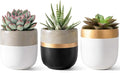 Dahey 3 Pack Small Cement Succulent Planter Pots 4 Inch Modern Mini Concrete Flower Pots Indoor Outdoor for Cactus Herb or Small Plants Home Decor