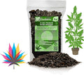 Premium Happy Plant Potting Soil Mix - Optimal Nutrient-Rich Blend for Thriving and HIGH-Yield Herbal Plants - 3 Quart