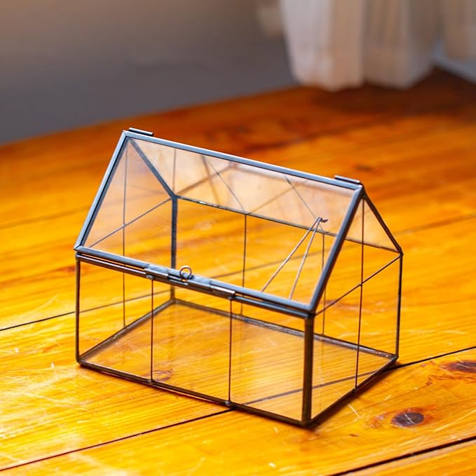 NCYP Mini Glass Terrarium with Lid - 6.1" x 4.25" x 4.92" House Shape Closed Planter Pot for Small Cactus, Succulents Plant - Home Garden Office Tabletop Geometric Decor, Black (Terrarium Only)