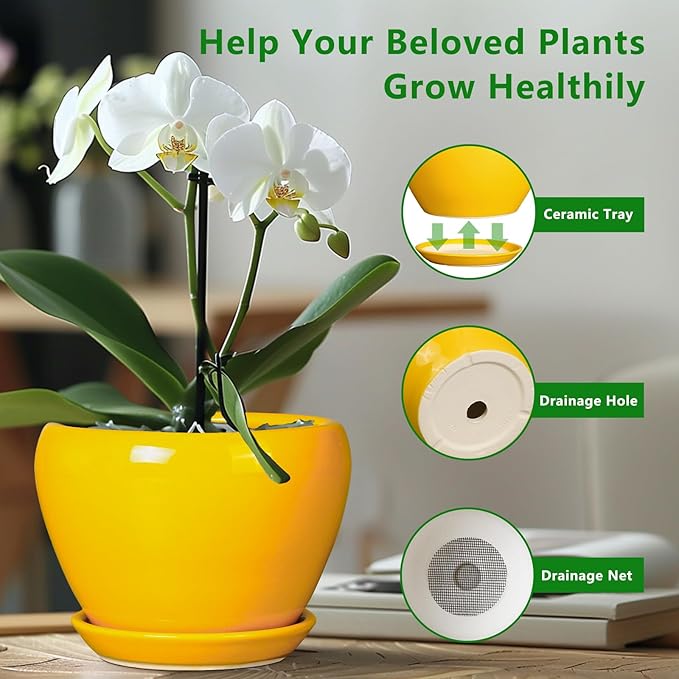 8 Inch Plant Pot - Glaze Modern Round Ceramic Planter for Indoor Outdoor Plants with Drainage Hole and Saucer for Home Patio Room Office Decor, Yellow