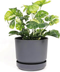 Elly Décor 8 inch Plastic Cylinder Planter Pot with Self-Watering Saucer and Drainage Hole,Lightweight & Extremely Durable, 8"x 8", Gray