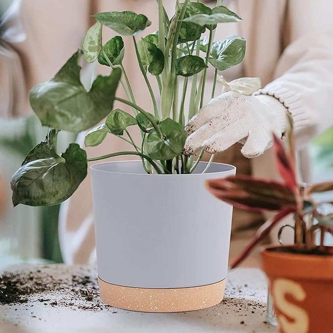 QCQHDU 8 inch Plant Pot, 2 Pack Planters for Indoor Plants with Drainage Holes & Saucer, Outdoor Flower Pots Home Garden Modern Decor