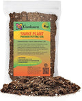 Premium Snake Plant Potting Soil Mix, Green Sansevieria Trifascatia Zeylanica Plants, Plant or Re-Pot Your Snake Plant - (4 Quart Bag)