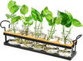 THYGIFTREE Plant Propagation Stations with Metal Stand, Tabletop Plant Terrarium for Propagating Hydroponic, Retro Glass Planter Flower Vase Home Kitchen Office Decor, Plant Lover Gifts, 5 Jars