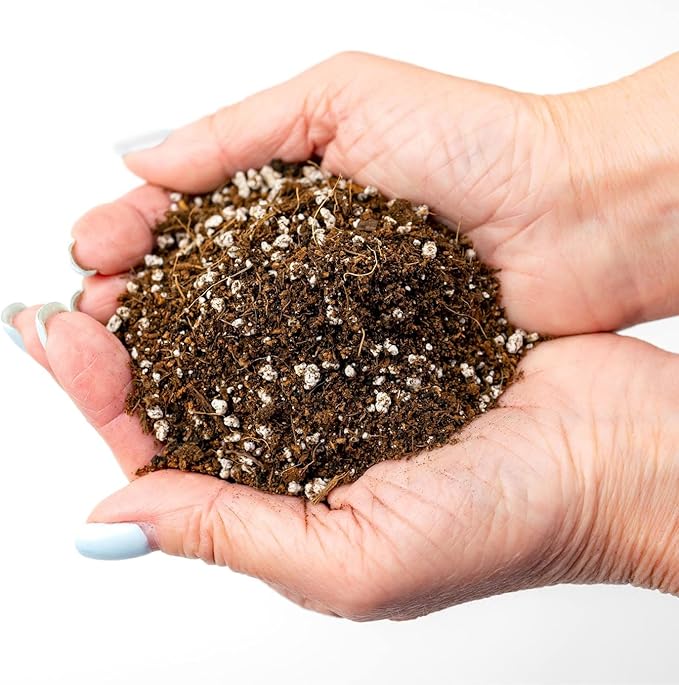 Professional Carnivorous Plant Soil - Ready to Use for Venus Flytraps, Sundews, Pitcher Plants, Butterworts | Peat Moss, Coco Coir, Perlite - 2 Quart Bag