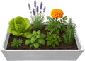 Raised Garden Bed - 2x4 ft Planter Box - White HDPE - No Tools Needed - DIY Kit for Urban Gardening, Flowers, Herbs & Vegetables - Made in The USA