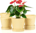 Ceramic Plant Pots –5 inch Indoor Flower Pot with Drainage Hole and Ceramic Tray - Gardening Home Desktop Office Windowsill Decoration Gift, Set of 4-Plants NOT Included(Yellow)