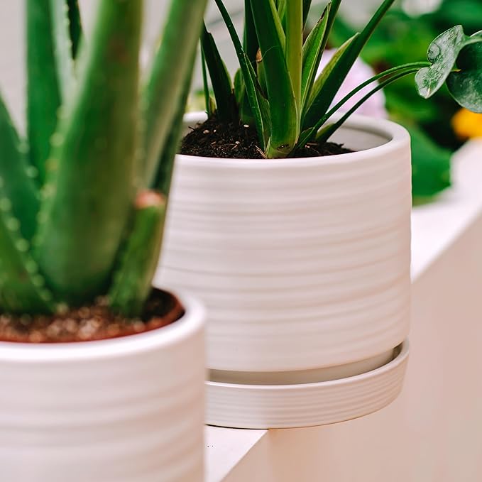 8 Inch Pots for Plants, Ceramic Planter Pot with Drainage Hole & Saucer, Indoor/Outdoor Cylinder Round Planter Pot, Matte White