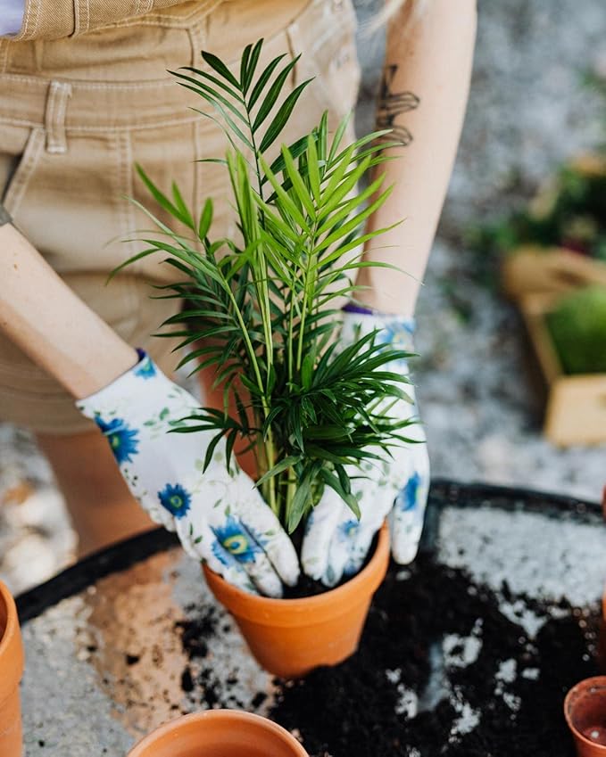Gardenera's Premium Peace Lily Potting Mix : Hand-Crafted for Optimal Growth and Health - [3-Quart Bag]