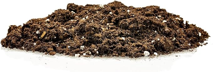Money Tree Potting Soil, Soil Mix for Planting or Repotting Guiana Chestnut, Soil Blended to Properly Grow Money Tree Plants - (5 Quart Bag)