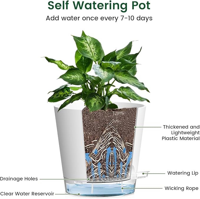 6 inch Self Watering Pots for Indoor Outdoor Plants, 3 Pack Flower Plant Pots with Drainage Holes and Clear Reservoirs, Visible Water Level, Plastic Planters with Wicking Rope, White