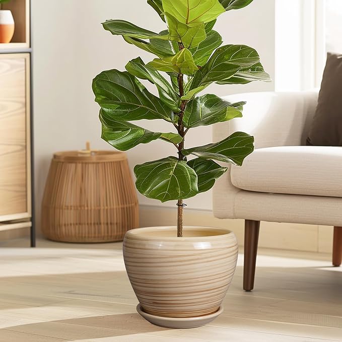 Planter Pot 8 Inch - Ceramic Pot for Plants Indoor Plant Pot with Drainage Hole and Saucer Round Planter Outdoor Modern Flower Pot Succulent Pot for House Patio Yellow