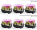 MIXC 6-Pack Seed Starter Tray Kit with Plant Light Seedling Trays with Adjustable Humidity Domes & Clear Cell Trays 12 Full Spectrum LED Beads for Indoor Plant Growth(Black)