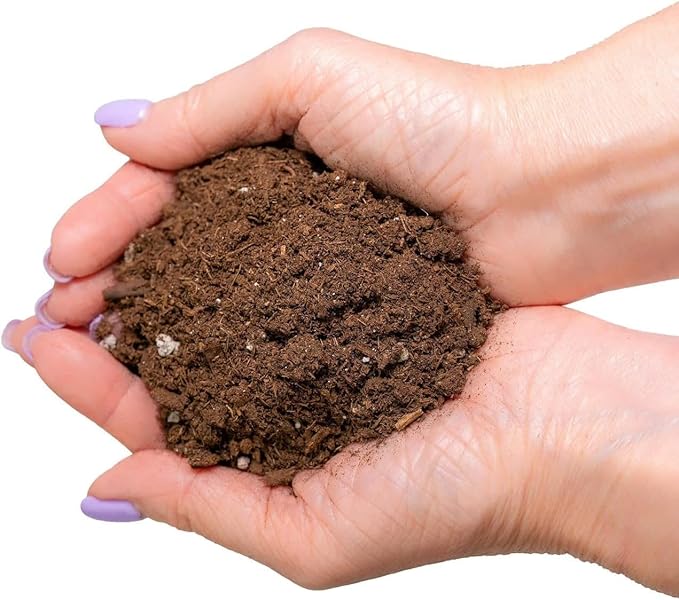 Premium Bamboo Potting Soil Mix - (5 Quart Bag)