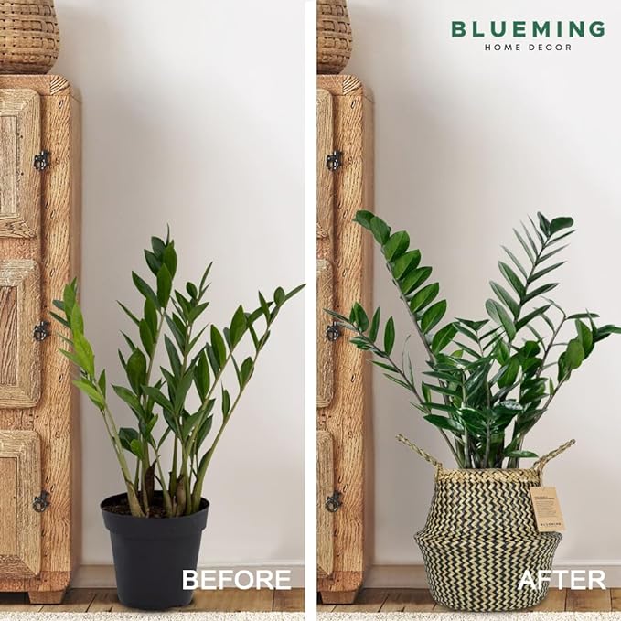 Olive Tree Basket – Small Seagrass Plant Pot for Tall Indoor Artificial Trees, Woven Planter 8-9 Inches, Wicker Baskets for Decorative Storage (Black, Medium)