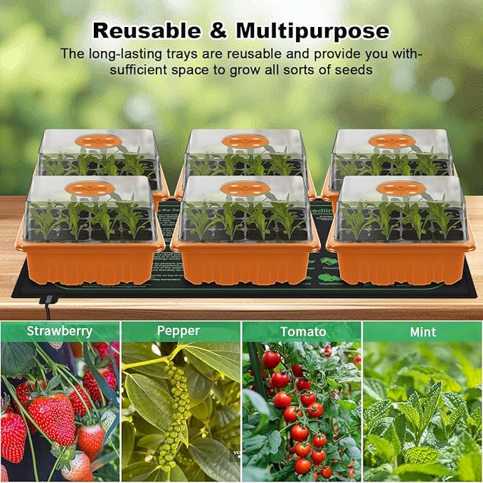 GooingTop Seed Starter Tray, 6 Pack 72 Cells Plant Grow Kit with Adjustable Humidity Vent for Mini Greenhouse Garden Germination,Bonsai Seedlings Starting Growing