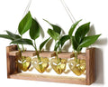 Plant Propagation Stations Heart Plant Terrarium Kit Gift for Women Plant Lover Glass Vases