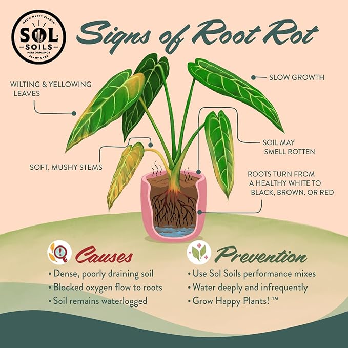 Sol Soils Cactus Gritty Mix (1 Gallon)