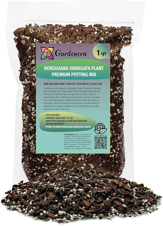 Monstera Borsigiana Potting Mix - Optimal Nutrients for Vibrant Growth - 1 Quart