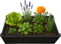 Raised Garden Bed - 2x4 ft Planter Box - Black HDPE - No Tools Needed - DIY Kit for Urban Gardening, Flowers, Herbs & Vegetables - Made in The USA