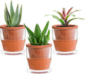 D'vine Dev 4 Inch Design Self Watering Pot for Indoor Plants, Terracotta Planter with Cylinder Glass Cup, Set of 3, 37-X-A-3
