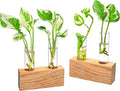 Ivolador Propagation Stations Double Test Tube Plants Terrariums in Wooden Stand Propagation Station for Hydroponic Plants Office Home Decoration
