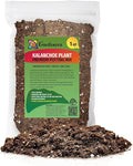 Kalanchoe Plant Premium Potting Mix - Optimize Growth with Natural Ingredients - 1 Quart