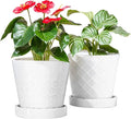 BUYMAX Plant Pots Indoor –6 inch Ceramic Flower Pot with Drainage Hole and Ceramic Tray - Gardening Home Desktop Office Windowsill Decoration Gift, Set of 2(White)