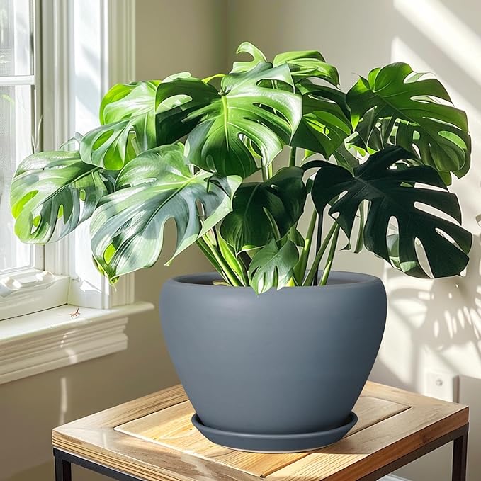 10 Inch Plant Pot - Ceramic Planter for Indoor Plants Large Plant Pot with Drainage Hole and Saucer Round Outdoor Planter Modern Flower Pot for Home Decor Gray