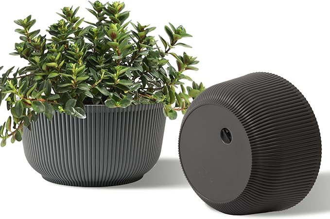 T4U 10 Inch Self Watering Planters, Plant Pots for Indoor and Outdoor Use, Home Decor Flower Pots, Plastic Planters with Drainage Hole & Plug for Plants, Flowers, Cactus, Garden, Set of 2, Gray