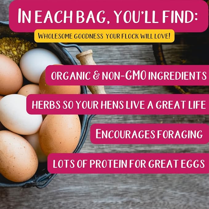 Pampered Chicken Mama Chick Feed - Premium Chicken Scratch Treat - High Protein & Calcium Grower Feed for Laying Hens (10 lbs)