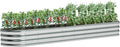 zizin Galvanized Raised Garden Bed Metal Oval Raised Garden Beds Outdoor Planter Box for Vegetables (12x2x1FT, Silver)