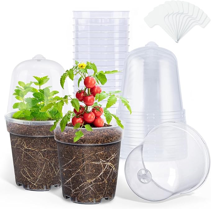 homenote Clear Nursery Pots for Plants,5 Inch Plant Pot for Planting with Humidity Domes Plastic Seedling with Drainage Holes Seed Starter Flower High Transparency (15 Pack)