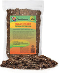 Premium Snake Plant Potting Soil Mix, Green Sansevieria Trifascatia Zeylanica Plants, Plant or Re-Pot Your Snake Plant - (2 Quart Bag)