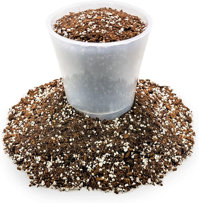 House Plant and Tropical Plant Potting Soil - Re-Potting Soil for All Types of Indoor House Plants - 2 Quart Bag