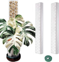2 Pcs 17 Inch Clear Plastic Moss Pole for Plants Monstera, Designed Specifically for Climbing Plants, Stackable Plant Support for Indoor Plants Work with Sphagnum Moss