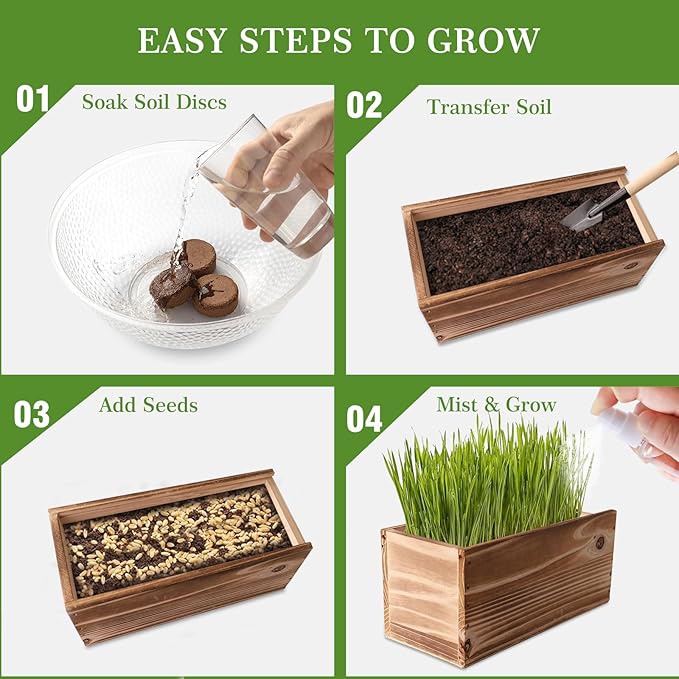Cat Grass Kit for Indoor Cats - 5X Seed Packets with Handmade Wood Planter | Grow Organic Non-GMO Wheat Grass in 4-7 Days, Aids Digestion & Hairball Control, Ideal Gift for Cat Lovers