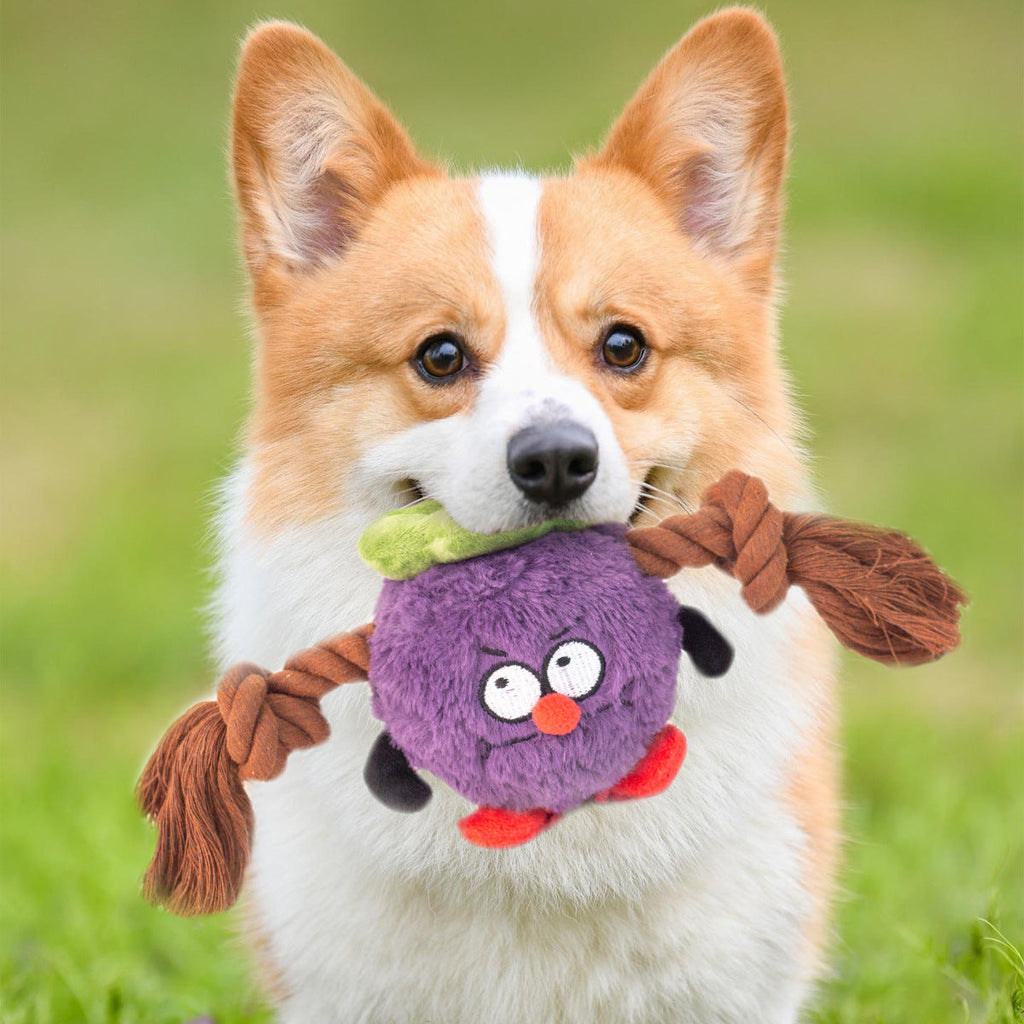 Interactive Dog Toy Plush Rope Knot Tug Of War Game Bb Bite Resistant Molar Tooth Toy