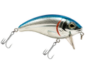 Bull Nose