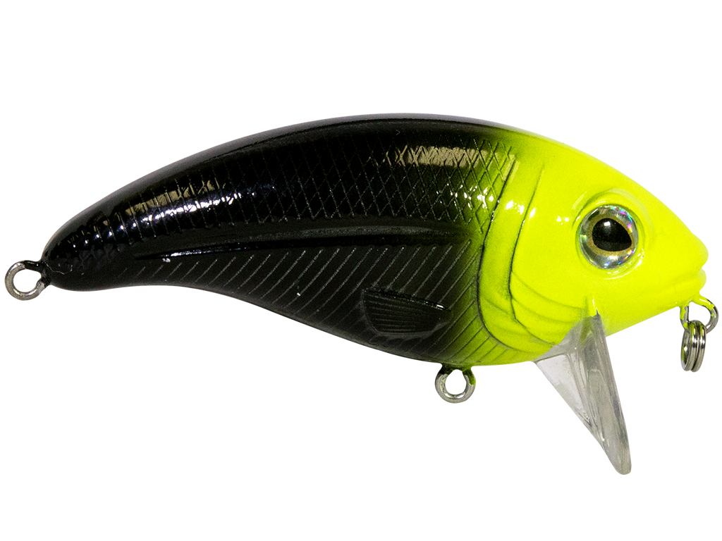 Bull Nose