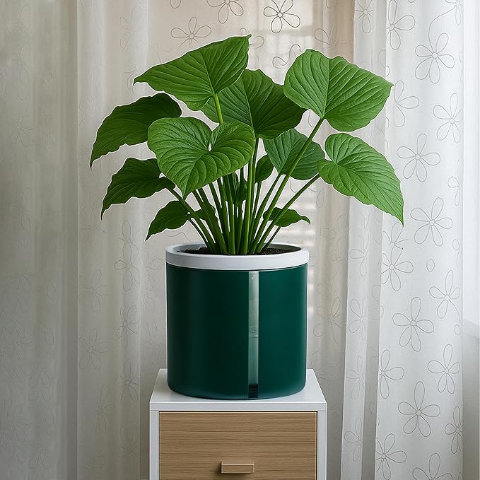 D'vine Dev 6 Inch Design Self Watering Planter for Indoor Plants, White Terracotta Pot with Teal Cylinder Glass Cup, Set of 2, 37-Y-B-5