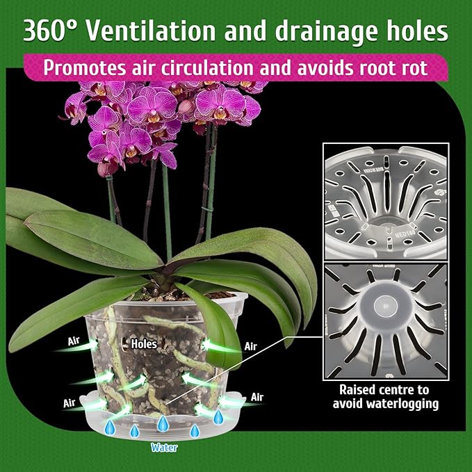REMIAWY Orchid Pot, 8 Pack Orchid Pots with Holes and Saucers, 5.5 Inch Clear Plastic Flower Planters for Repotting Indoor Outdoor, Breathable Slotted Nursery Planter