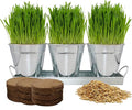 The Environet Organic Cat Grass for Indoor Cats, Organic Cat Grass Kit with Seeds Mix and Metal Iron Pots, Hairball Control, Digestion Support, Ideal Gift for Cat Lovers